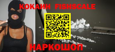 гашик Моздок