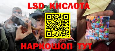 гашик Моздок