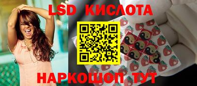 гашик Моздок