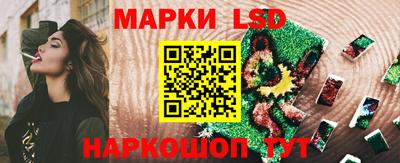гашик Моздок