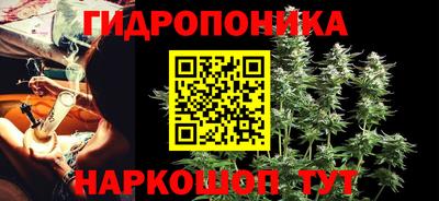 хмурый Можга