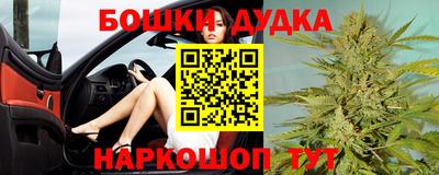 гашик Моздок