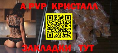 гашик Моздок